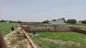 1170 sqft Plots & Land for Sale in Sector 150