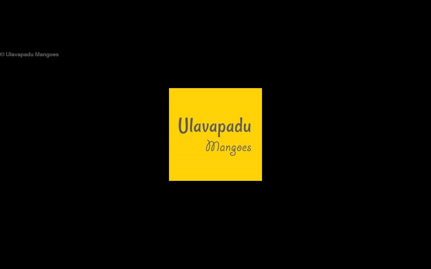 Ulavapadu Mangoes in Kondapur, Hyderabad500084 Sulekha Hyderabad