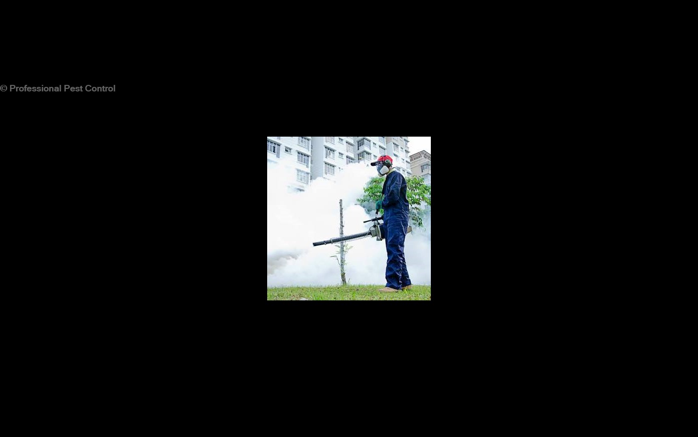 Professional Pest Control inc in Tirumala Bypass Road, Tirupati517501