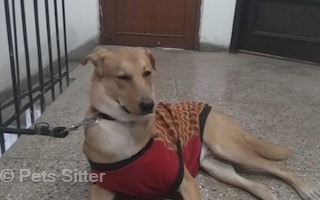 .