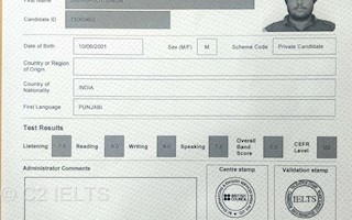 History of patiala picture