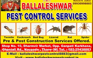 Ballaleshwar Pest Control Services In Thane West Mumbai 400602 Sulekha Mumbai