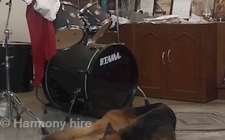 .