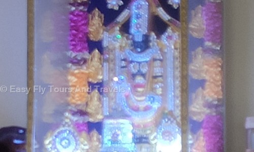 Easy Fly Tours And Travels in Ramamurthy Nagar, Bangalore - 560016