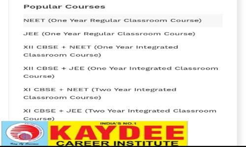 Kaydee Career Institute in Vikaspuri, Delhi - 110018