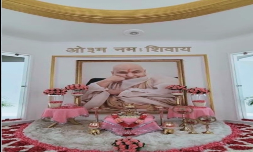 Guruji trevell  in Hari Nagar Ashram, Delhi - 110014