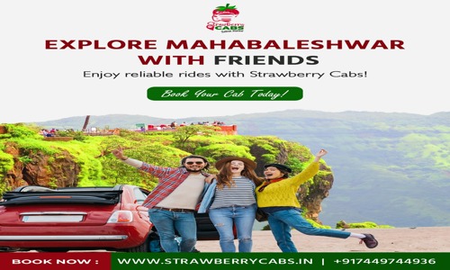 STRAWBERRY CABS in Mahabaleshwar, Satara - 412805
