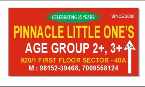 PINNACLE COACHING  in Sector 40-A, Chandigarh - 