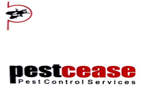 Pest Cease in Andheri, Mumbai - 400053