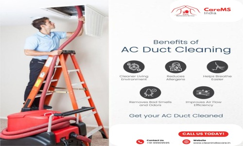 Care Maintenance Services Private Limited in Lado Sarai, Delhi - 110032