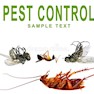 Sai Pest Control Pvt. Ltd.-Ghaziabad-Pest Control