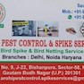 Arohi Pest Control & Spike Services-Noida-Pest Control