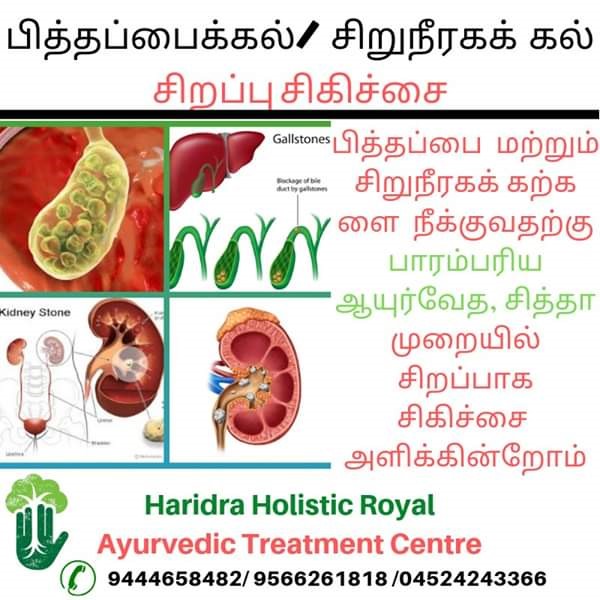 Haridra Holistic Royal Ayurvedic Treatment Centre in Anna Nagar
