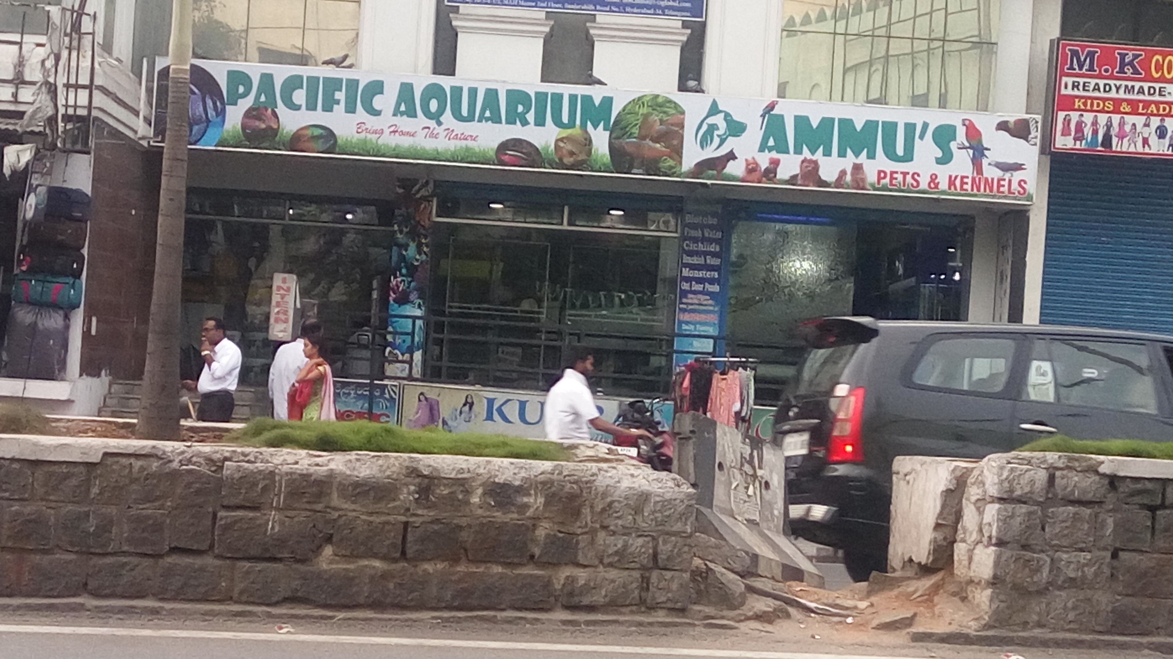 Ammus Pets & Kennels in Banjara Hills, Hyderabad500034 Sulekha Hyderabad