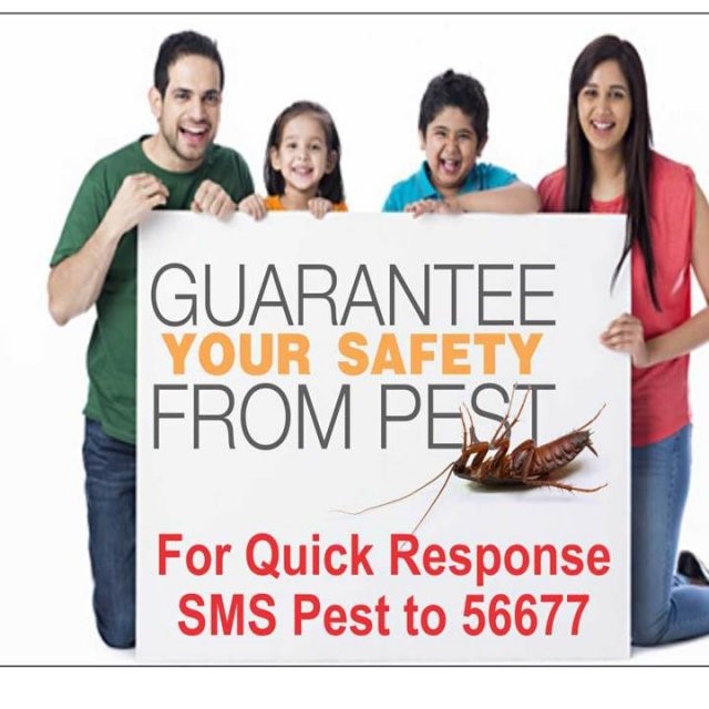 PestOStop Pest Control Services Pvt. Ltd. in Worli PestOStop Pest Control Services Pvt. Ltd. in Worli