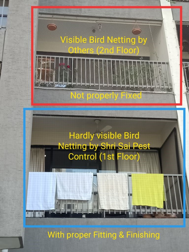 Shri Sai Pest Control in Manjalpur, Vadodara390011 Sulekha Vadodara