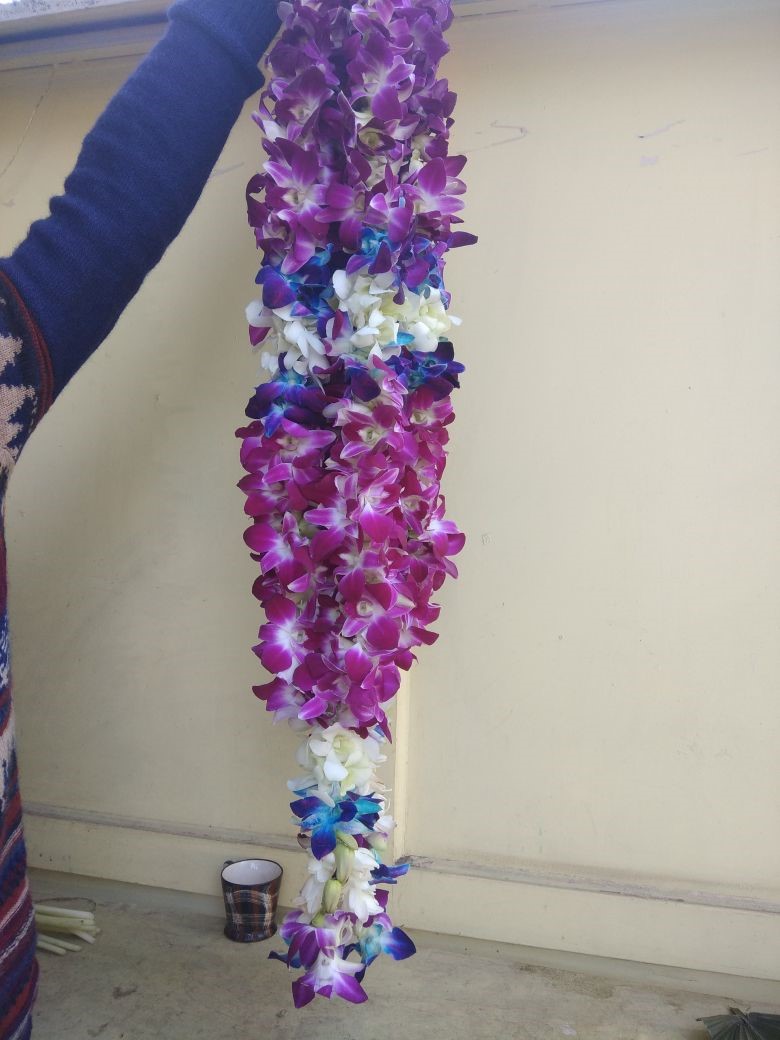 Rajnigandha florist in Dadar West, Mumbai400028 Sulekha Mumbai