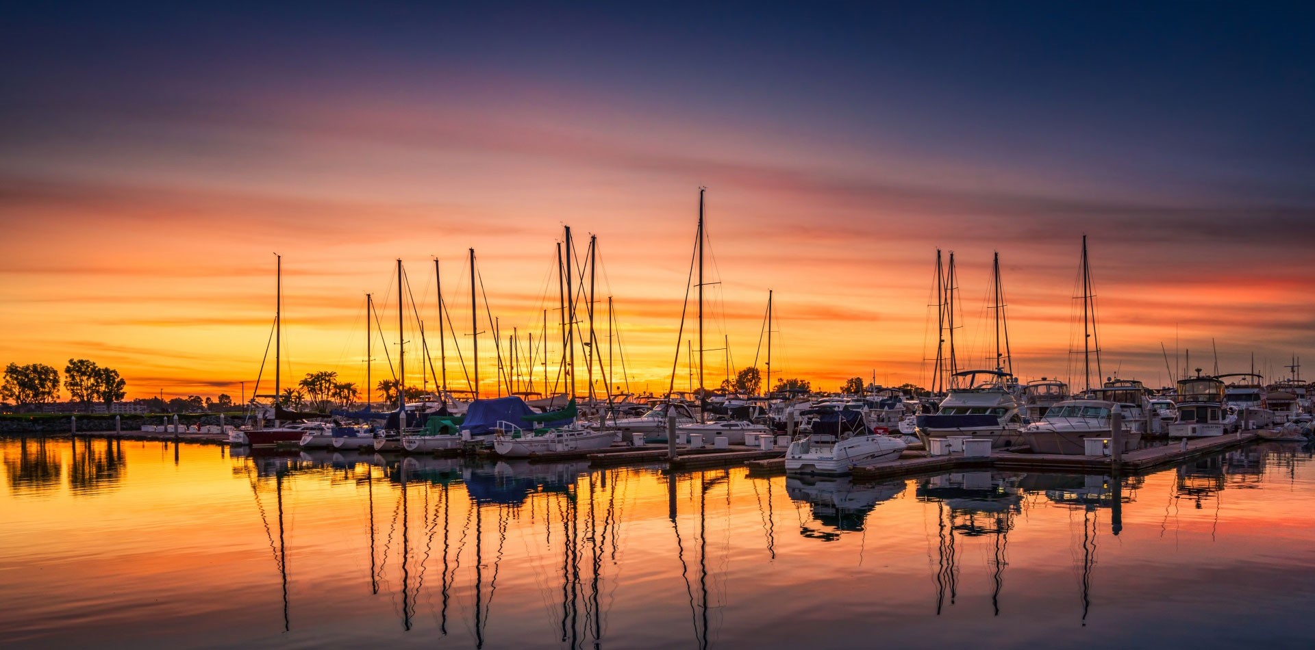 Sumukha Travels in Basaveshwara Nagar, Bangalore560079 Sulekha Bangalore