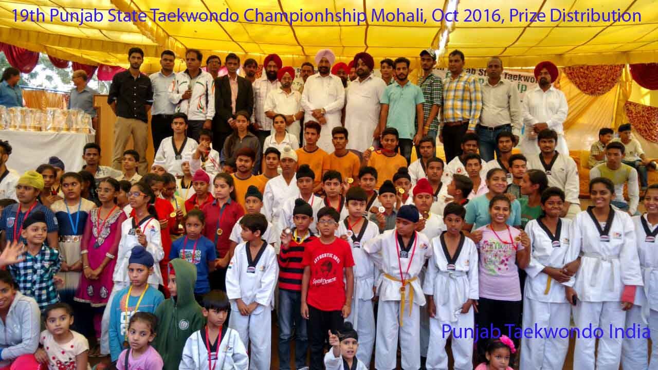 Taekwondo Martial Art Training in Mohali, Chandigarh160055 Sulekha
