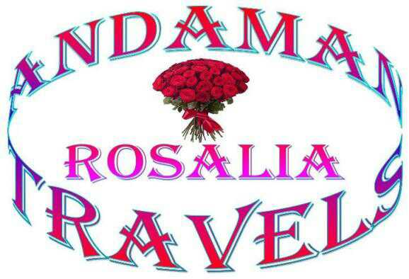 Andaman Rosalia Travels In Bhathu Basti Port Blair 744105