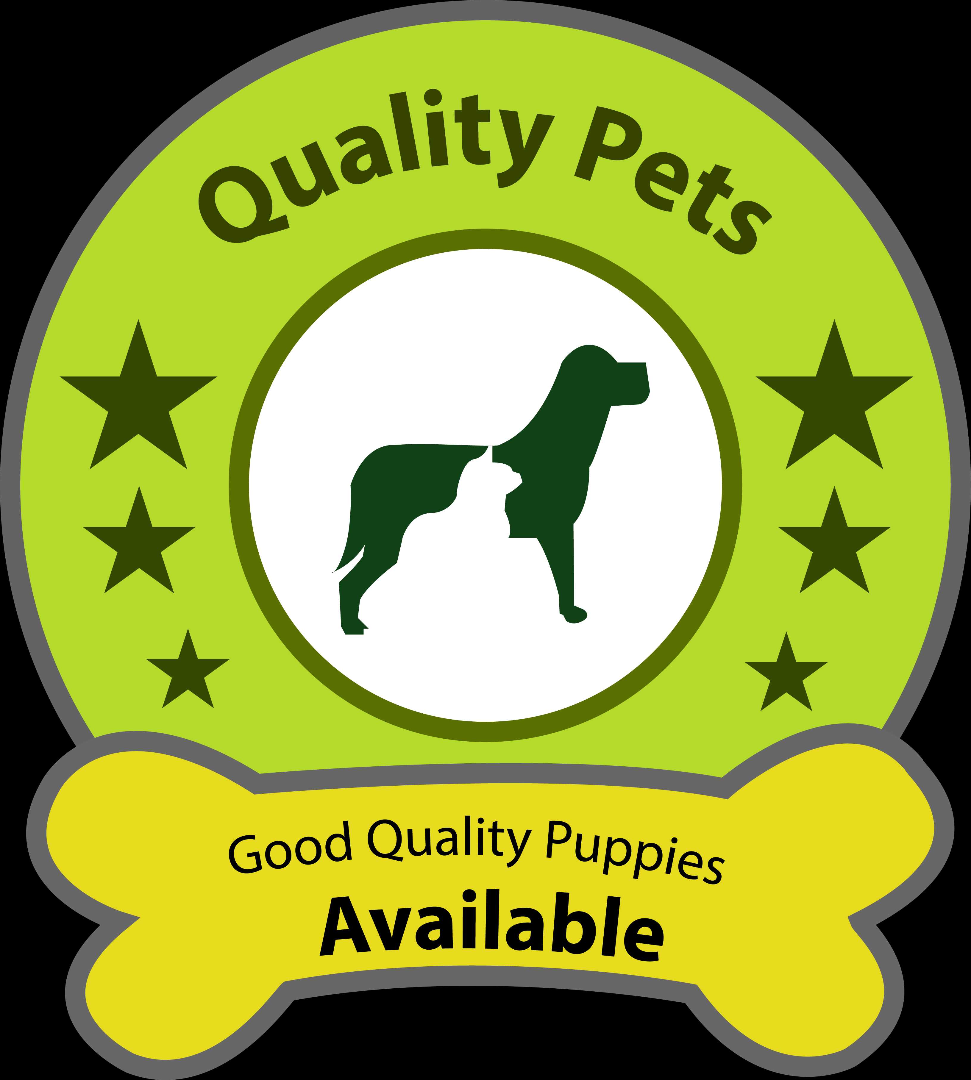 Quality Pets In Kodambakkam Chennai 600024 Sulekha Chennai