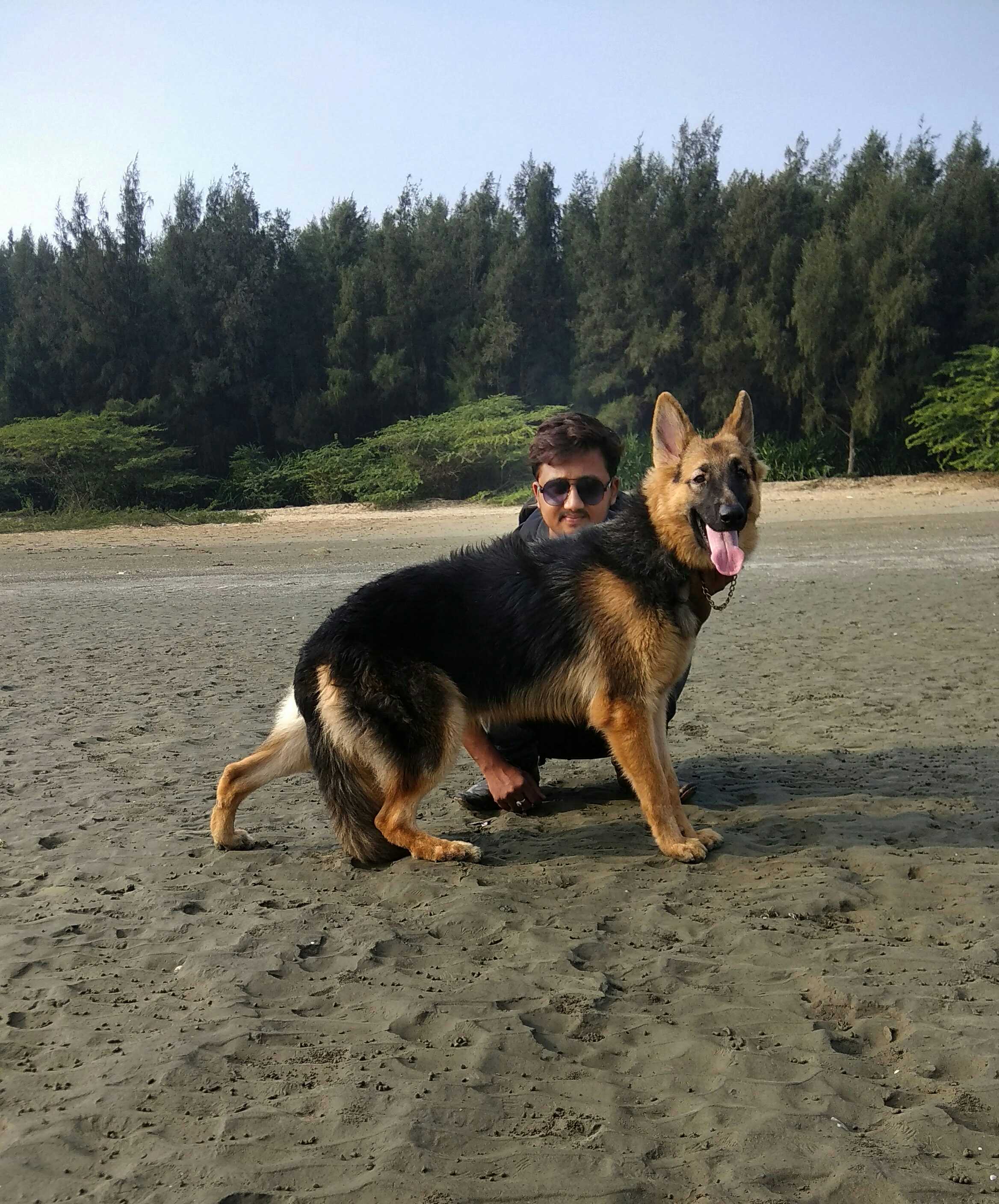 dog breed shop near me