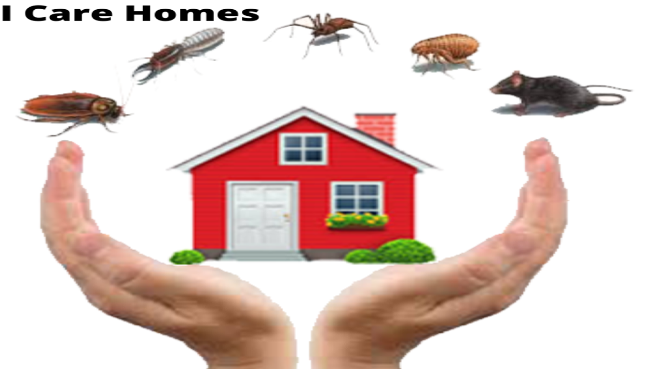 I Care Homes Nigdi Pimpri Chinchwad I Care Homes Nigdi Pimpri Chinchwad