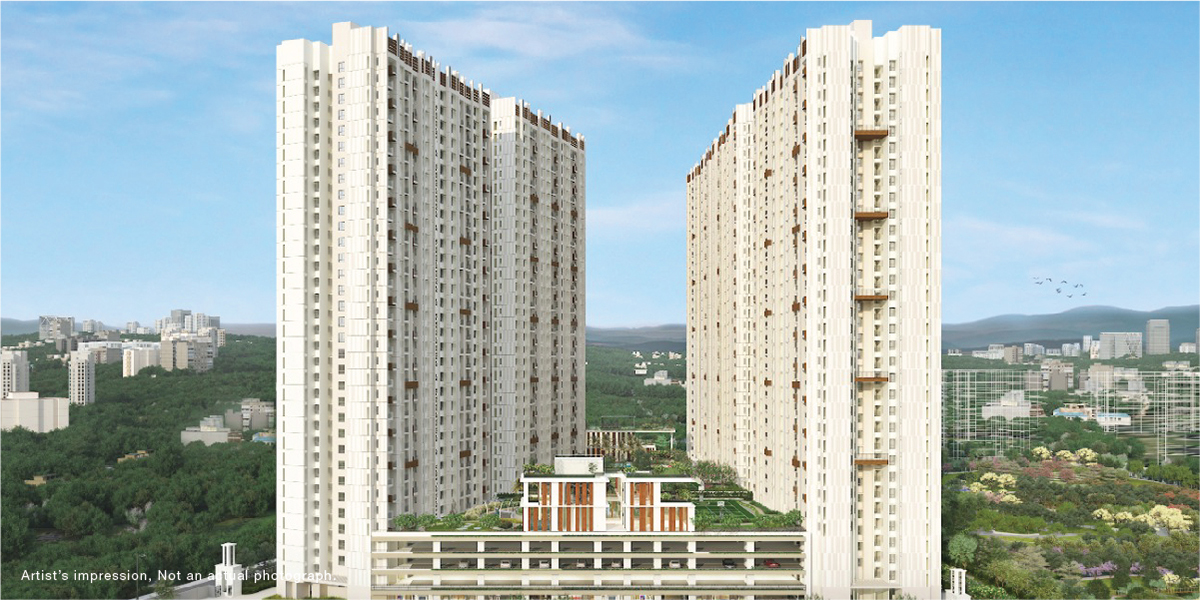 profile cover photo