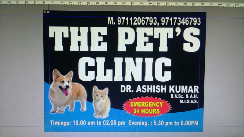 pet clinic in paschim vihar