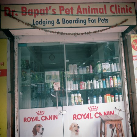 Dr. Bapat Pet Animal Hospital in Thane West, Mumbai-400601 | Sulekha Mumbai