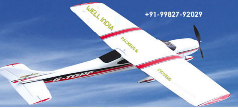 Packers And Movers - Well India Packers & Movers