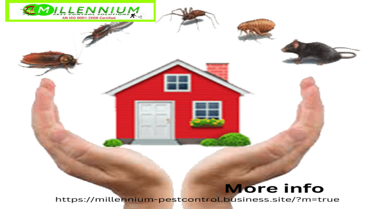 Millennium Pest Control Solutions West Marredpally Hyderabad