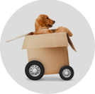 Relocation Service - Interem Relocations