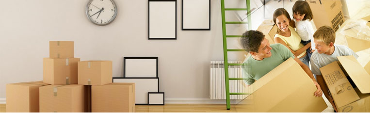 Shifting Service - Blue Dart Logistic Packers & Movers