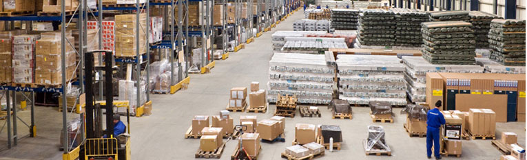 Relocation Service - Blue Dart Logistic Packers & Movers