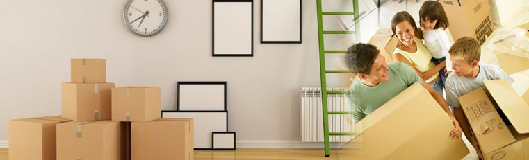 Packers And Movers - Blue Dart Logistic Packers & Movers