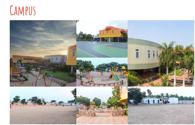abacus-international-montessori-school-10898619-354bceff.jpeg