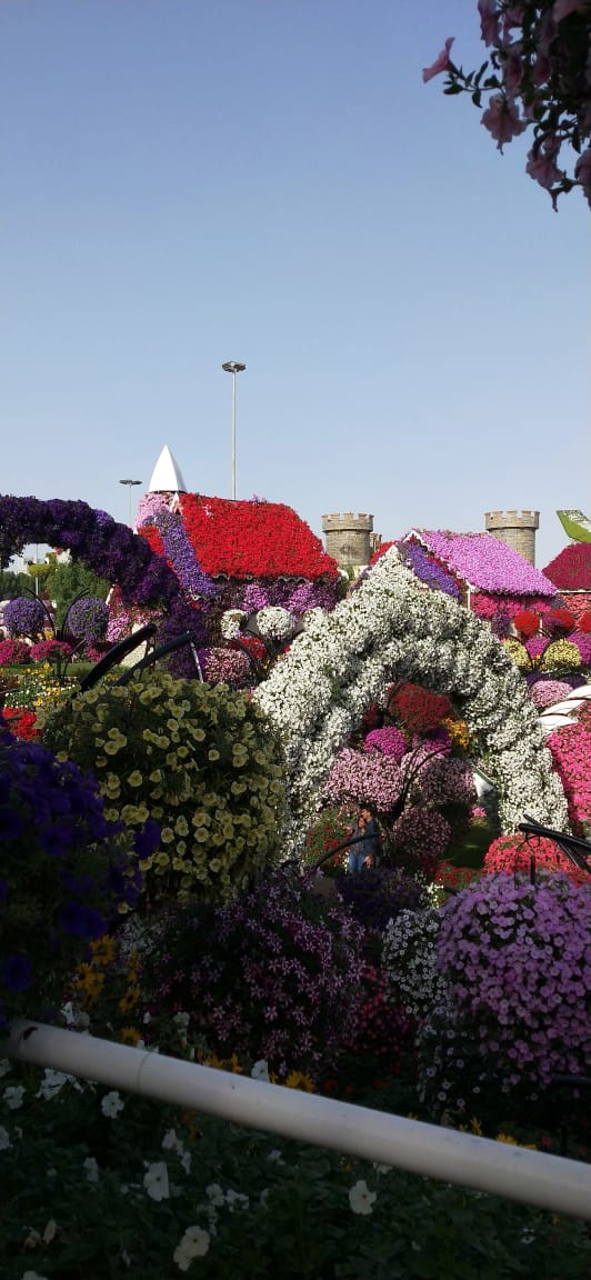 Akshaya Yatra Private Limited in Koramangala, Bangalore560095