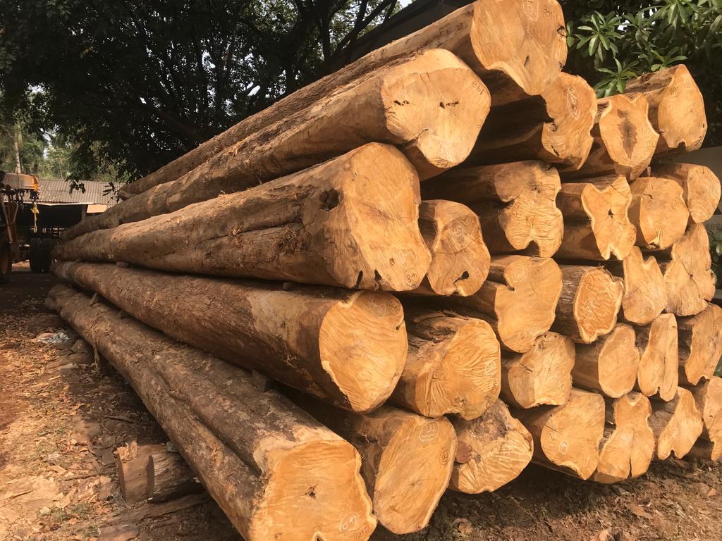 Alif Timber Depot in Mankara, Palakkad679302 Sulekha Palakkad