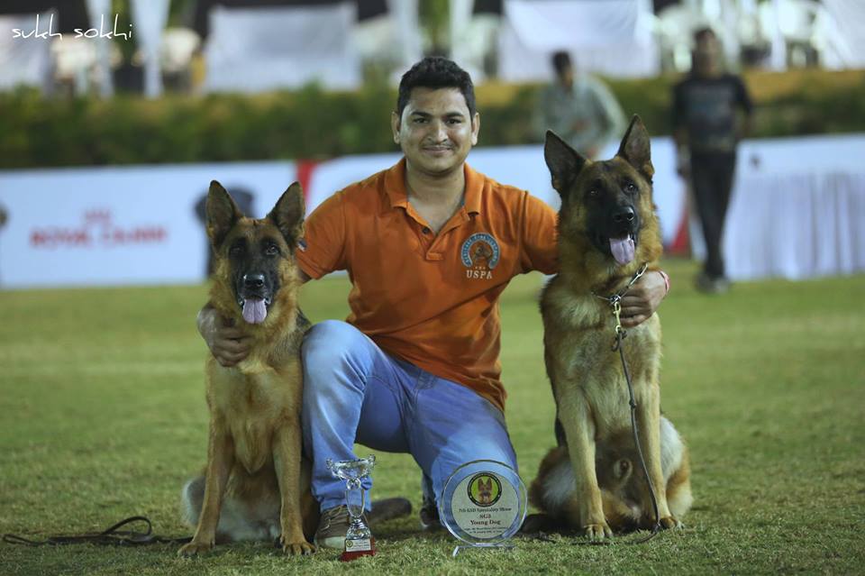 Ammus Pets & Kennels in Banjara Hills, Hyderabad500034 Sulekha Hyderabad