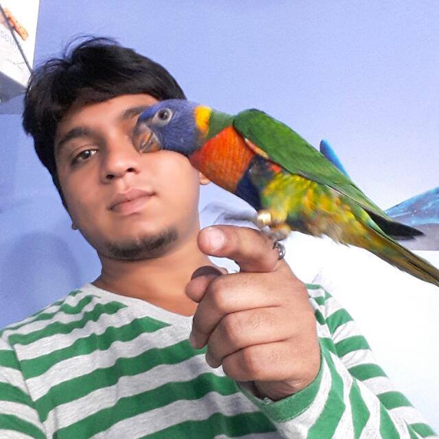 Ammus Pets & Kennels in Banjara Hills, Hyderabad500034 Sulekha Hyderabad