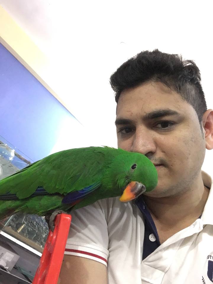 Ammus Pets & Kennels in Banjara Hills, Hyderabad500034 Sulekha Hyderabad