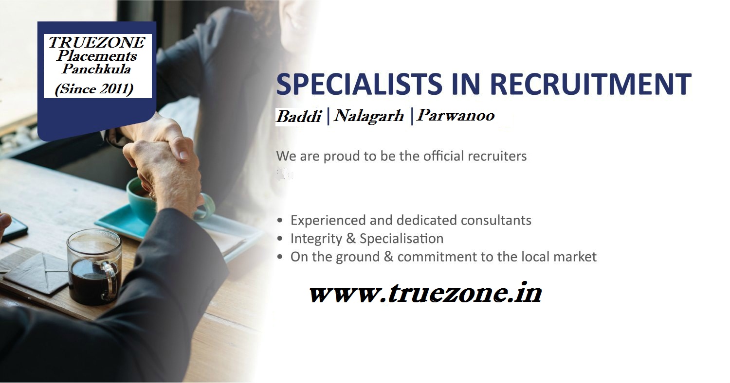 Best Job Placement Agency Chandigarh Panchkula in Industrial Area Phase