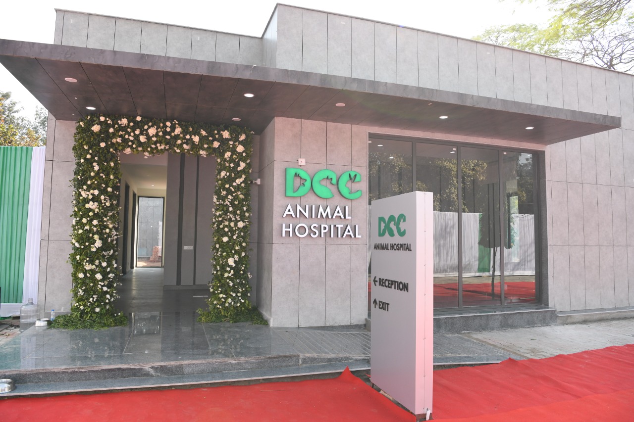 DCC Animal Hospital in Carterpuri Road, Gurgaon-122016 | Sulekha Gurgaon