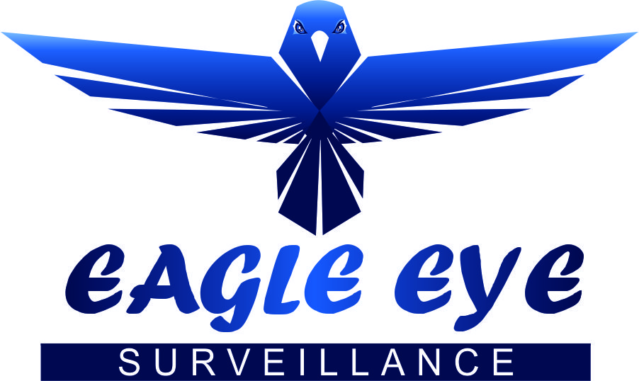 eagle eye surveillance