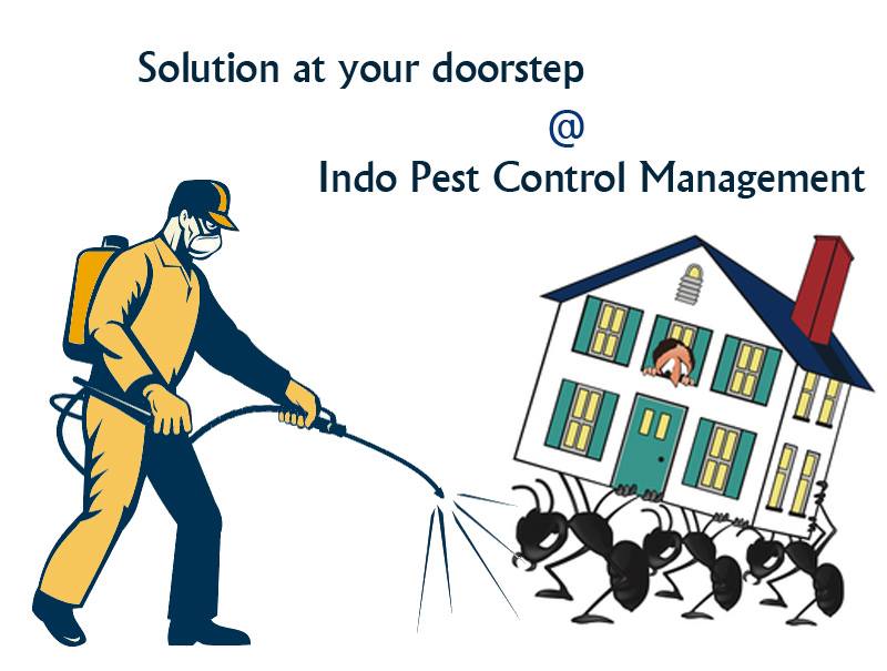 Indo Pest Control Management in Sector 18, Chandigarh134109 Sulekha