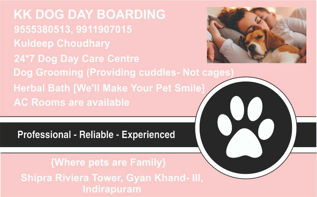 kk pet shop in Indirapuram, Ghaziabad201014 Sulekha Ghaziabad