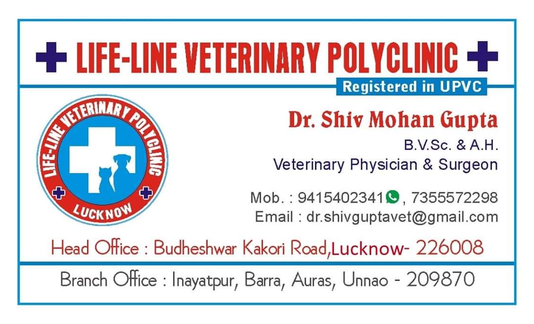 Life-Line Veterinary Polyclinic & Dog Hospital in Branch Road, Lucknow-226101  | Sulekha Lucknow