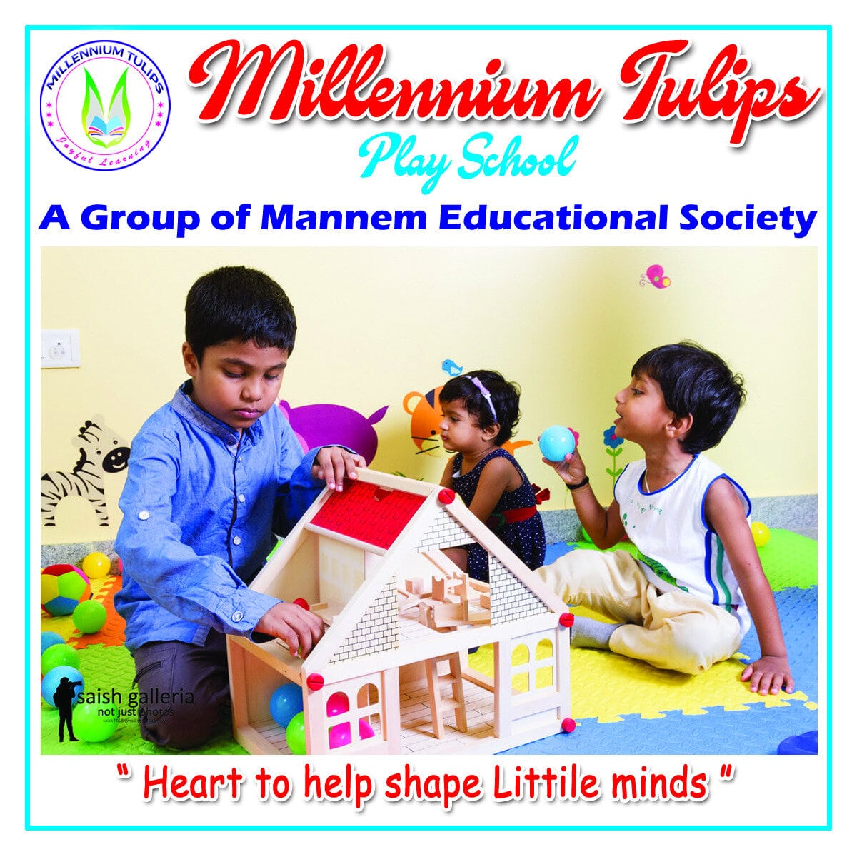 millennium-tulips-10843421-829874cc.jpeg