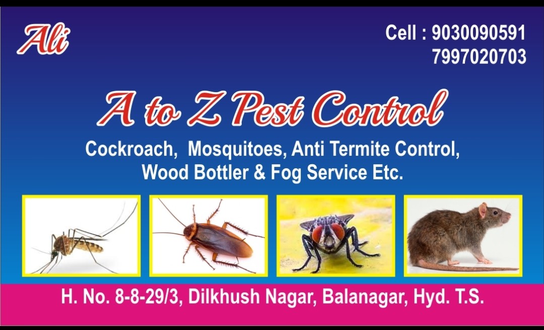 A to z pest control services in Balanagar Township, Hyderabad-500042